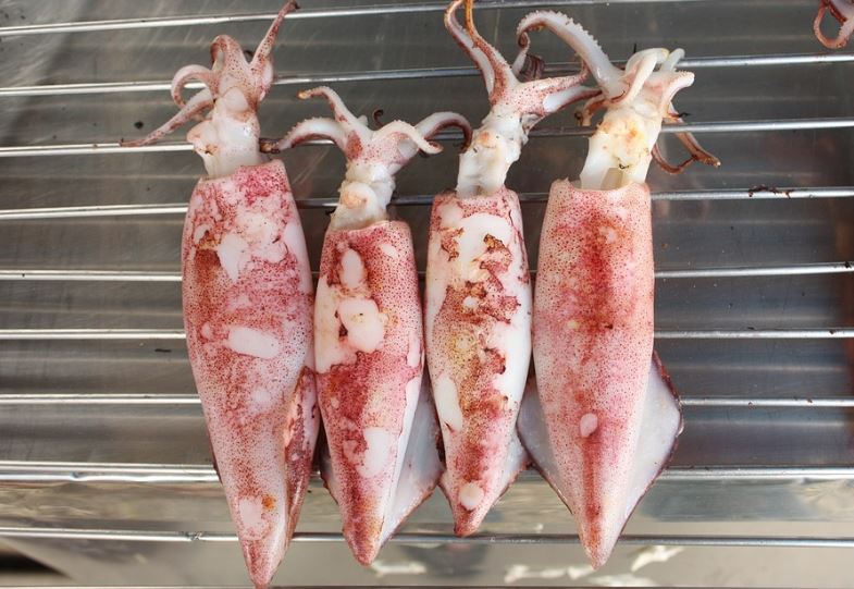 오징어 굽는 꿈