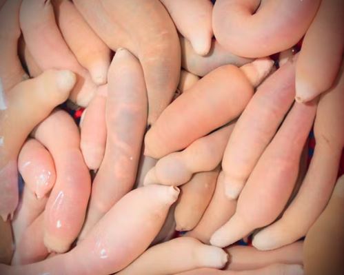 개불 잡는 꿈
