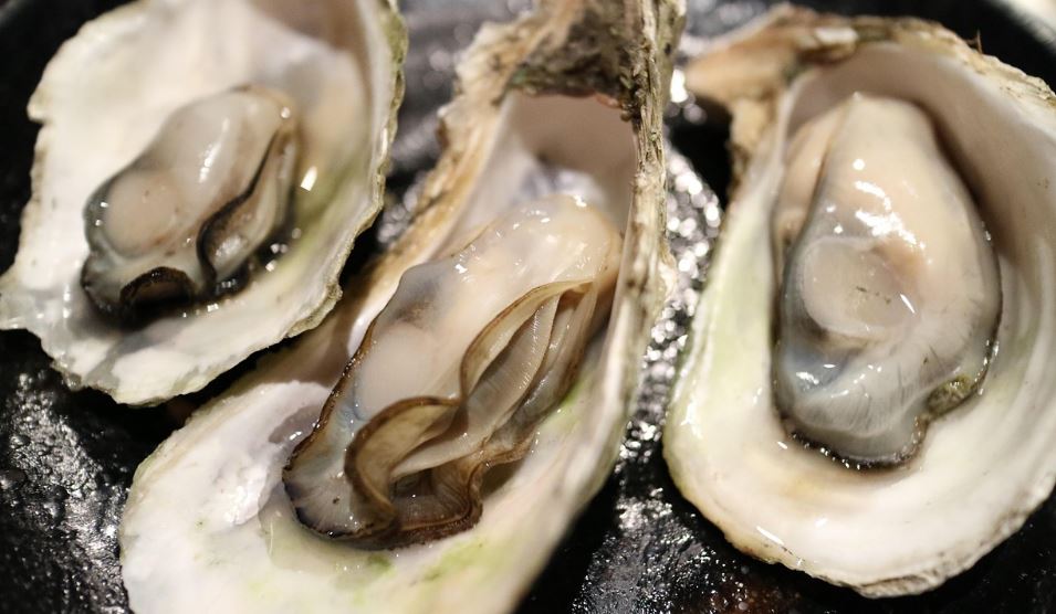 큰 굴 꿈
